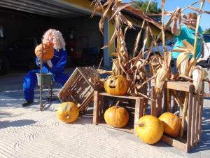Najlepše urejena domačija na temo jesen in buče 5